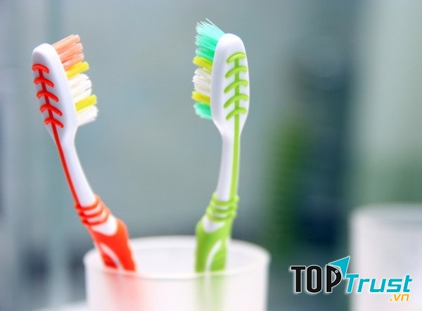 Lười thay bàn chải đánh răng khiến vi khuẩn tích tụ