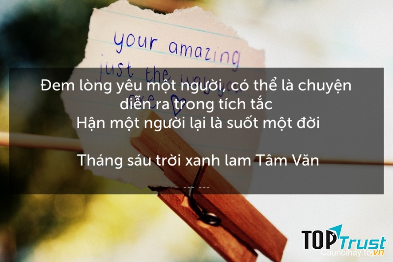 Tháng sáu trời xanh lam - Tâm Văn