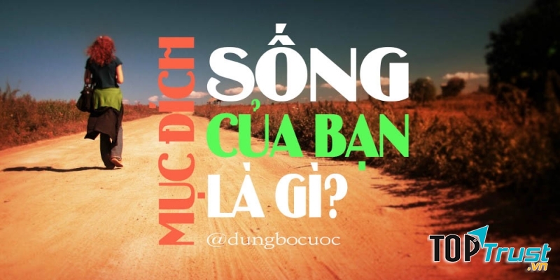 Không tìm được mục đích sống