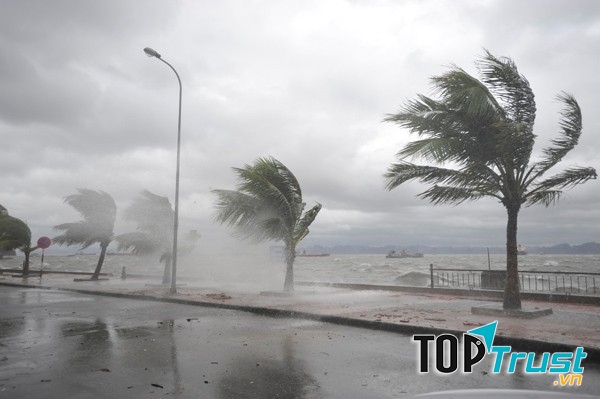 Không tư ý di chuyển ra ngoài