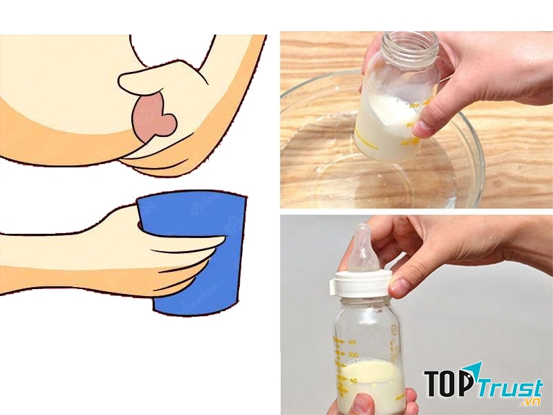 Vắt và hút sữa