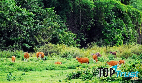 Khu bảo tồn động vật hoang dã Thung Yai - Huai Kha Khaeng