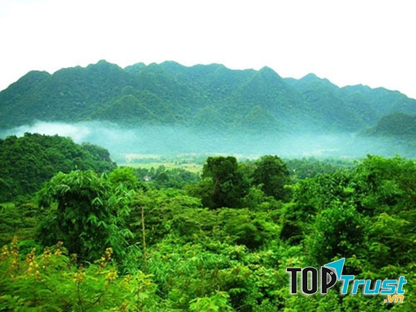 Khu bảo tồn thiên nhiên Pù Hu