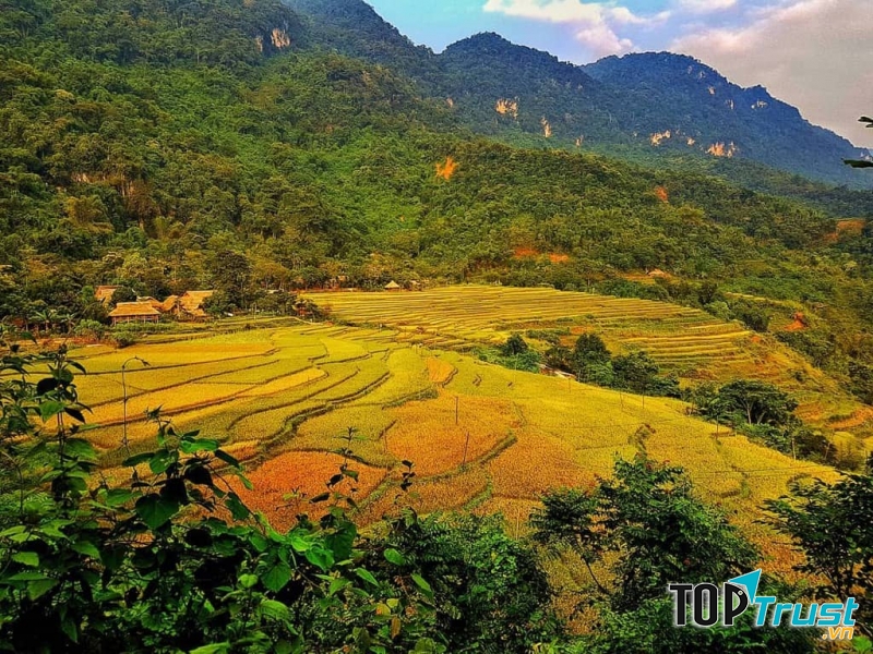 Khu bảo tồn thiên nhiên Pù Luông