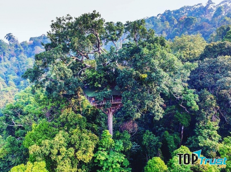 Khu bảo tồn tự nhiên Bokeo