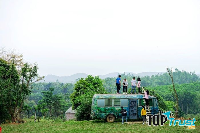 Xung quanh toàn một màu xanh mát rượi