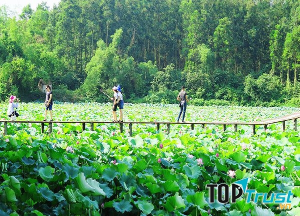 Khu du lịch Đầm Long
