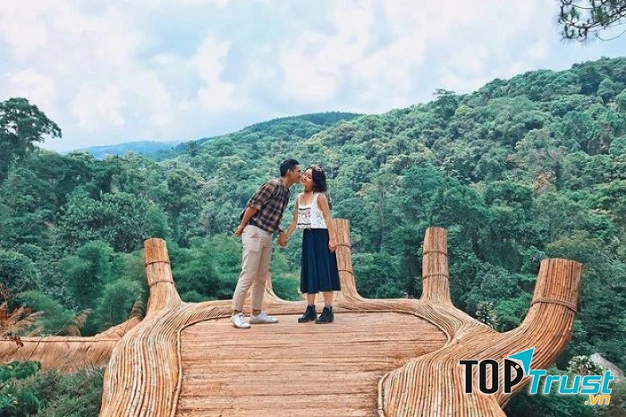 Hoa sơn Điền Trang