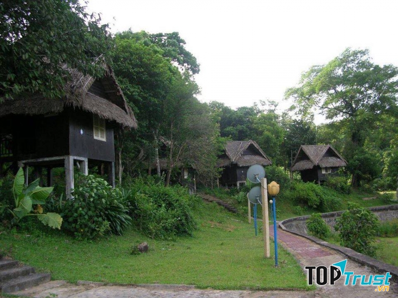 Những ngôi nhà chòi ẩn hiện bên tán lá