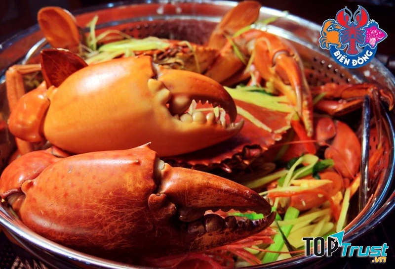 Khu du lịch sinh thái Biển Đông