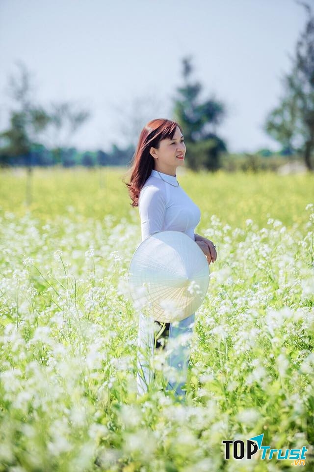 Đồng hoa cải trắng