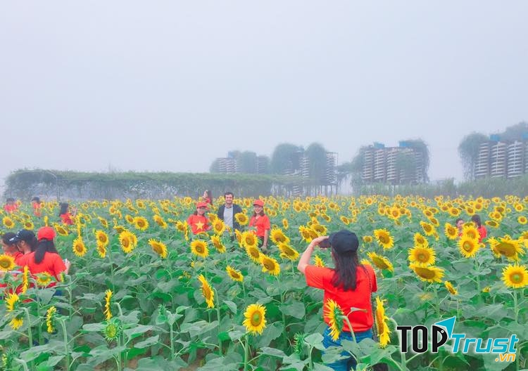 Đi giữa những vầng dương