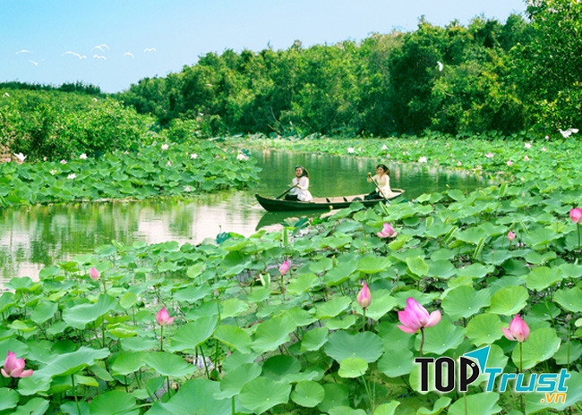 Khu du lịch Đồng Sen Tháp Mười
