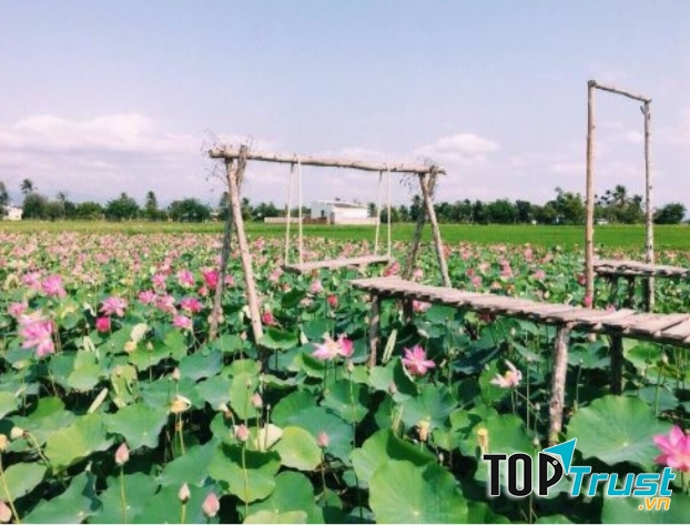 Khu du lịch Đồng Sen Tháp Mười