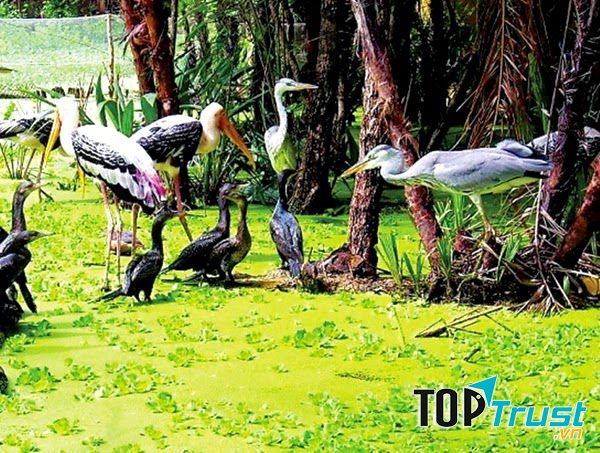 Khu du lịch sinh thái Gáo Giồng