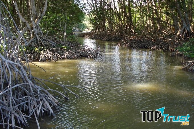 Khu du lịch sinh thái Rừng Đước