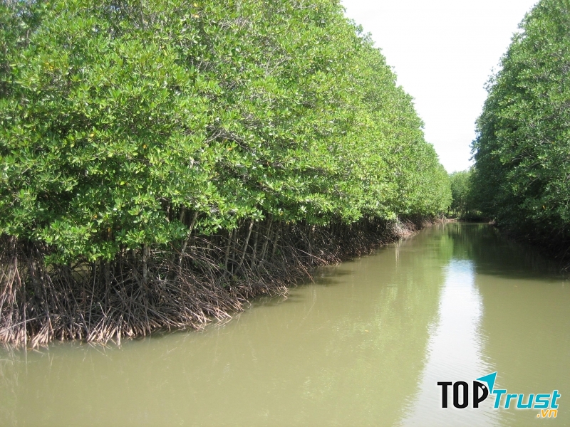Khu du lịch sinh thái Rừng Đước