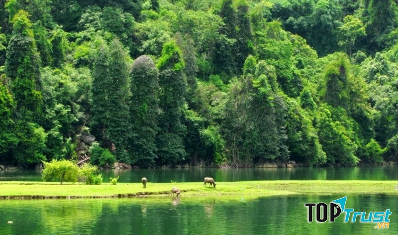 Khu du lịch sinh thái Thung Nham