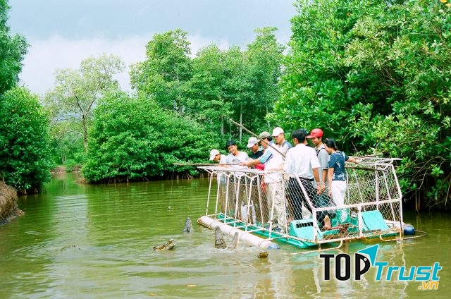 Những điểm đến đáng được lưu ý khi bước vào khu du lịch Vàm Sát chính là : sân chim Vàm Sát, Đầm Dơi và Tháp Tang Bồng