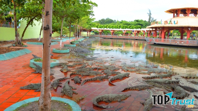 Bạn có thể tận mắt chiêm ngưỡng những chú cá sấu thực sự