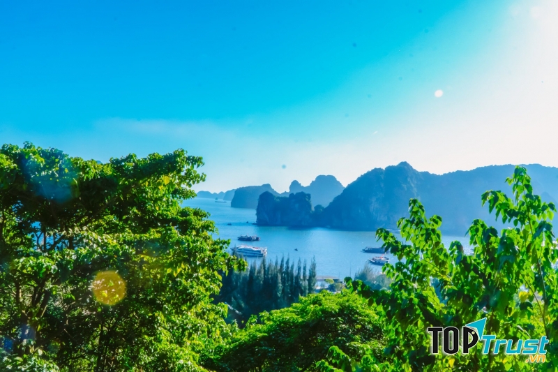 Từ Vũng Đục nhìn ra vịnh Bái Tử Long