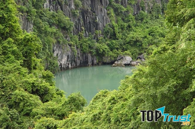 Một góc của Khu dự trữ sinh quyển Cát Bà