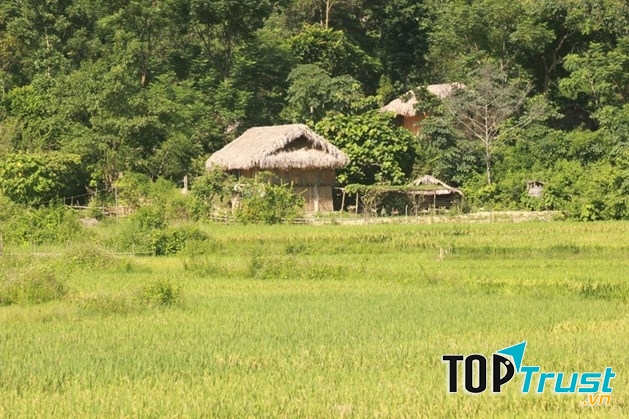 Một bản làng người Thái trong Vườn quốc gia Pù Mát