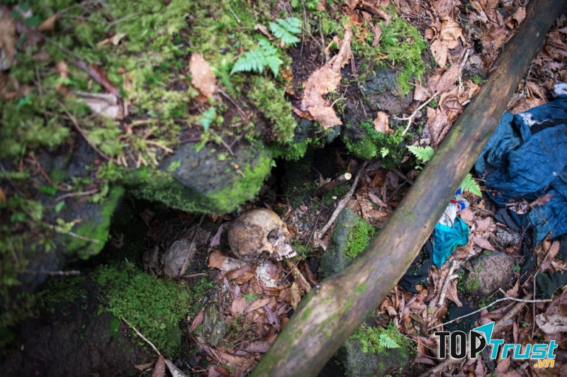 Khu rừng Aokigahara