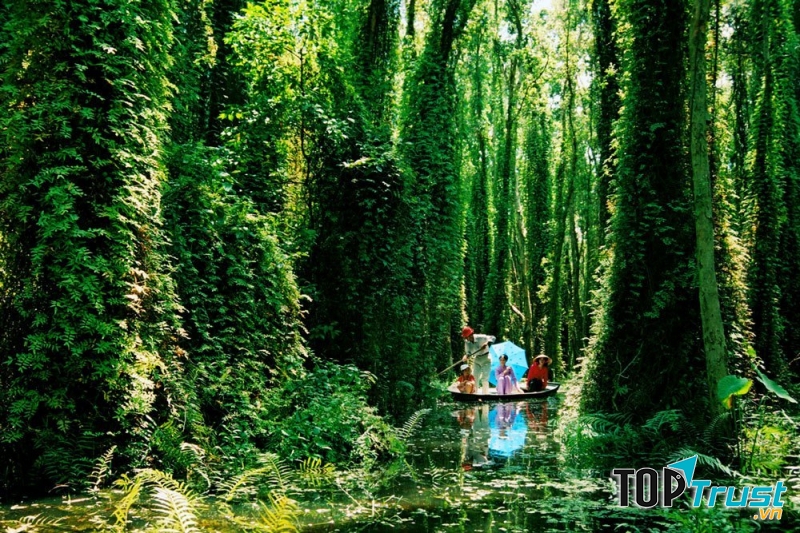 Khu sinh thái rừng tràm Xẻo Quýt