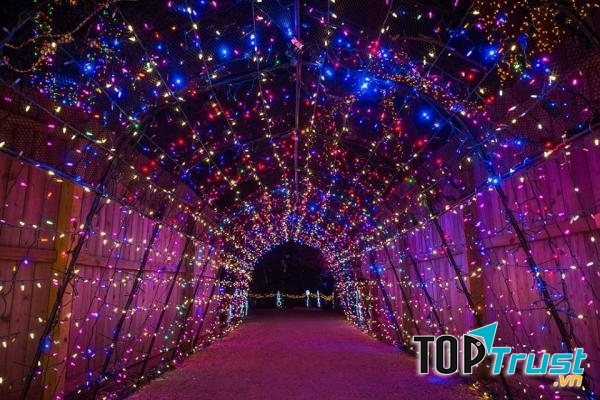 Khu vui chơi Sun World Hạ Long Park