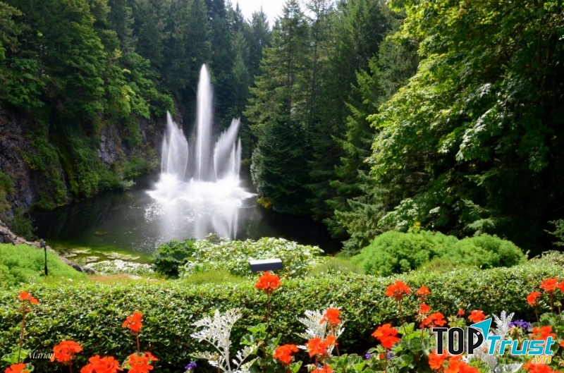 Khu vườn Butchart tại Canada
