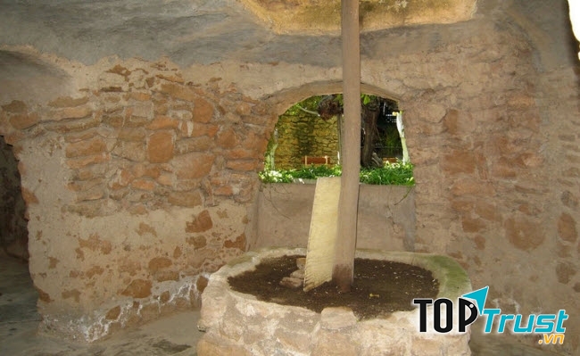 Một phần khu vườn