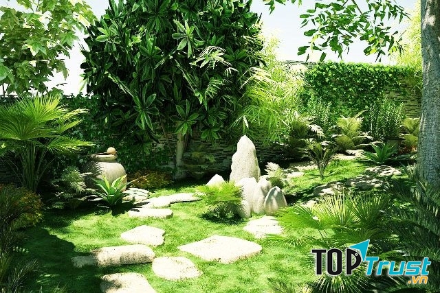 Vào buổi sáng, sương đọng trên lá cây như những hạt ngọc của trời.