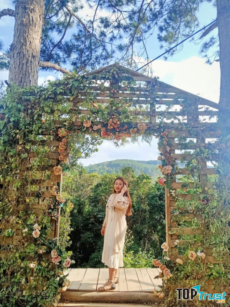 Khu Vườn Hoa Hồng Cổ Sapa