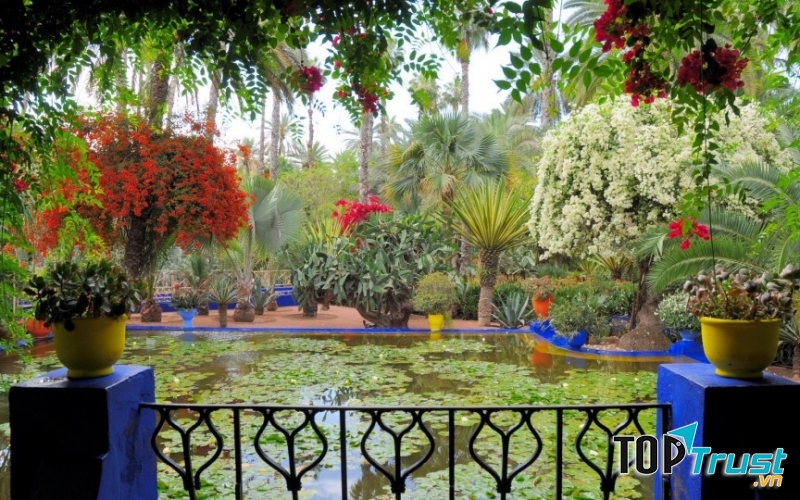 Khu vườn Jardin Majorelle tại Ma-rốc