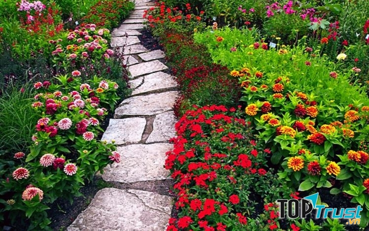 Khoảng vườn như đang tỉnh dậy sau một giấc ngủ dài