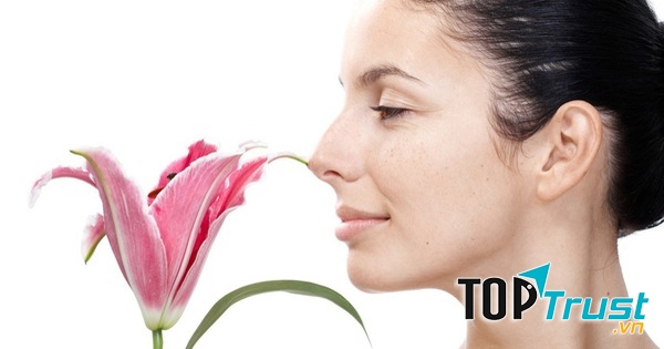 Khoa học chứng minh, khi bạn có tuổi, khứu giác của bạn sẽ giảm độ nhạy thì đó là do sự suy giảm của hệ thần kinh.