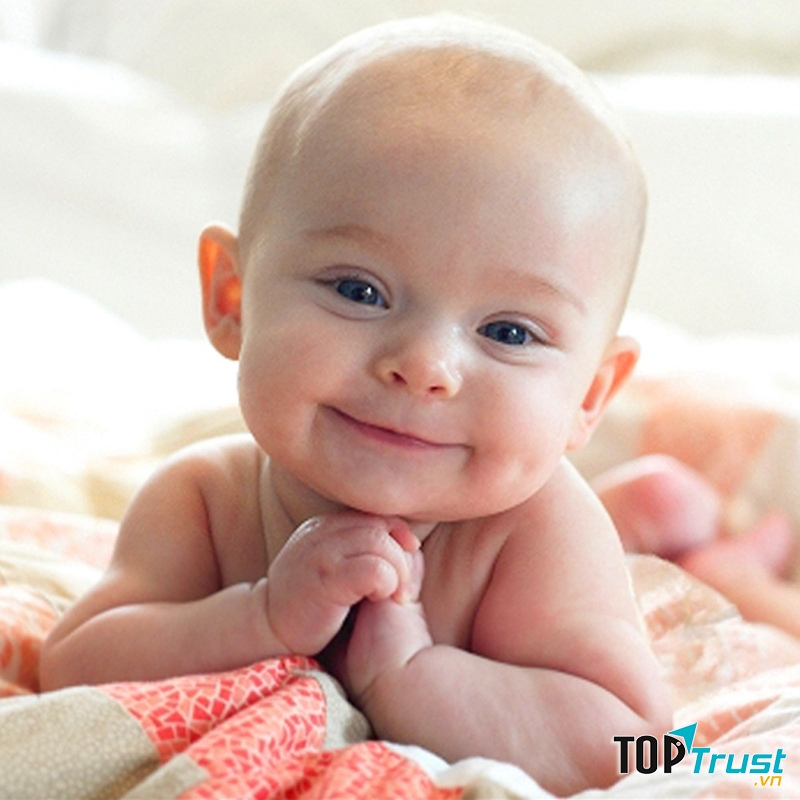 Ảnh minh họa (Nguồn Internet)