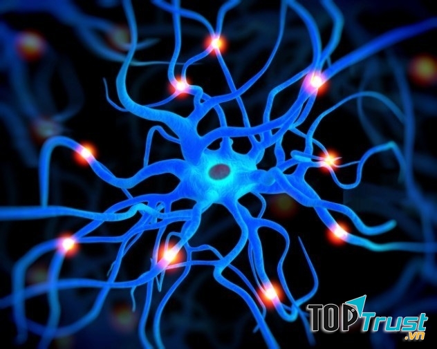 Kích thích hệ thần kinh