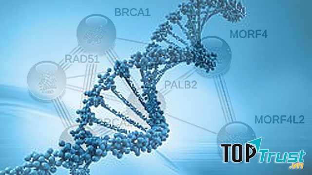 Kiểm tra gen để phát hiện sớm ung thư vú