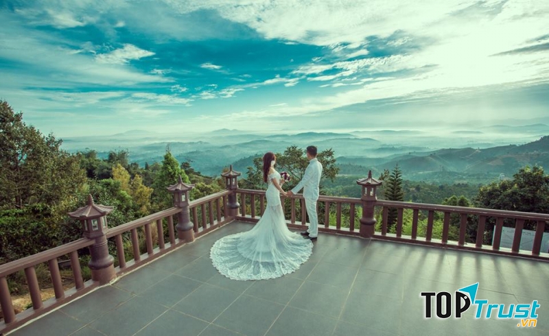 Paparazzi Wedding House