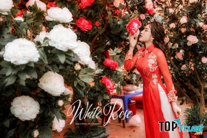 Kim Cương Đỏ Studio