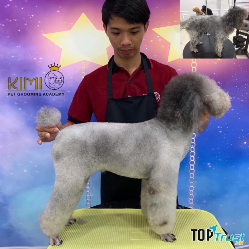 Kimi Pet - Thế Giới Thú Cưng