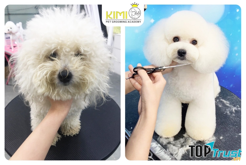 Kimi Pet - Thế Giới Thú Cưng