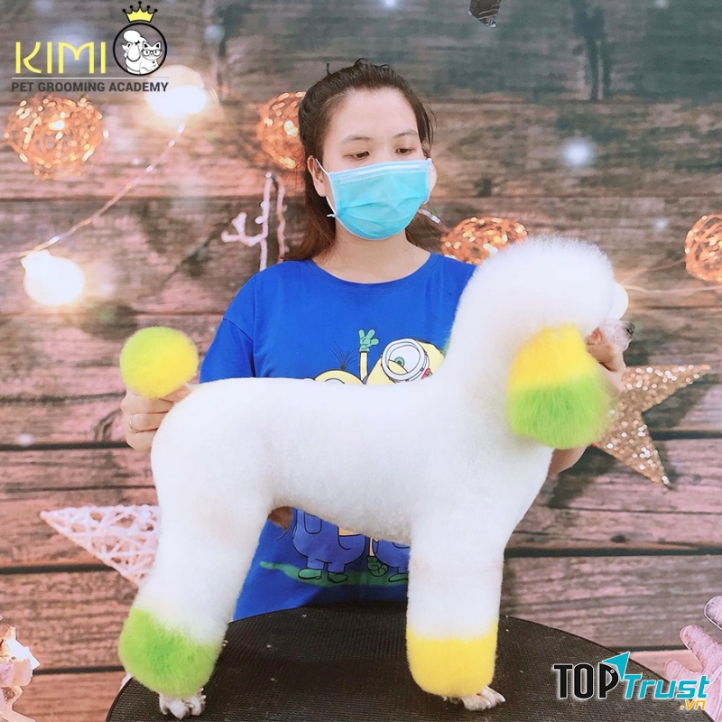 Kimi Pet - Thế Giới Thú Cưng (KIMI PET GROOMING ACADEMY)