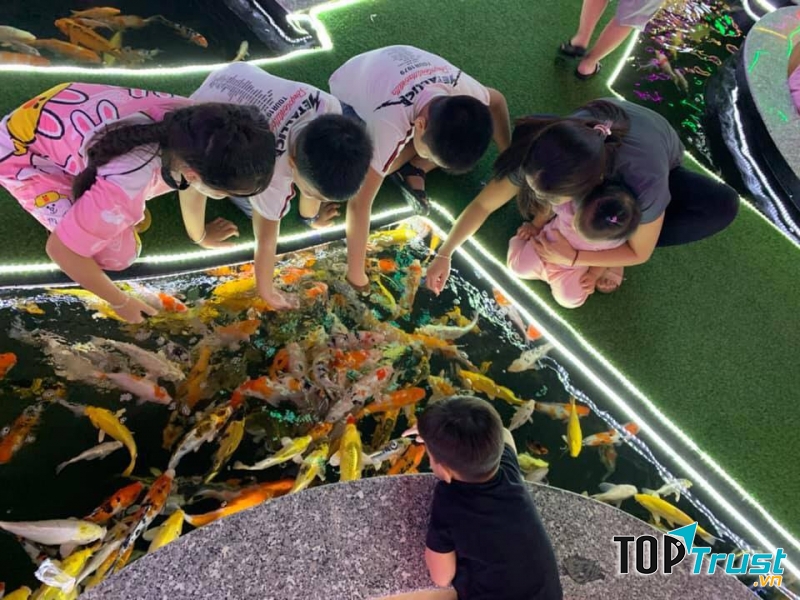 King Koi Coffee Garden