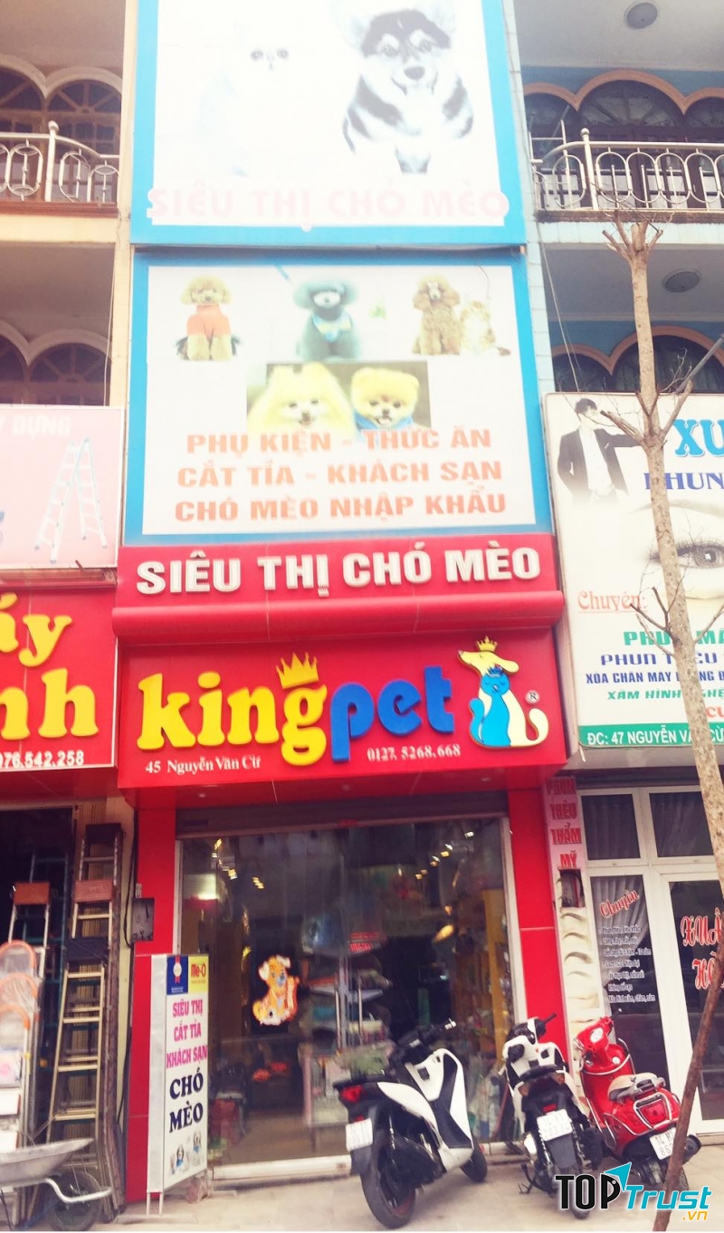 King Pet