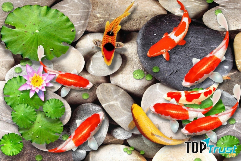 Kingcoffee Thanh Hà Hà Đô