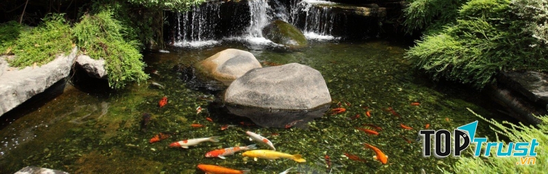 Ảnh minh họa (nguồn internet)