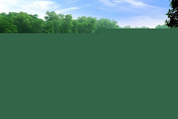 Khung cảnh xanh mát yên tĩnh thoáng đãng